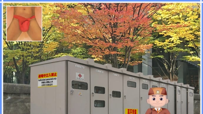 ♪枯葉散る夕暮れは.....の前に,キュービクル式高圧受電設備の点検