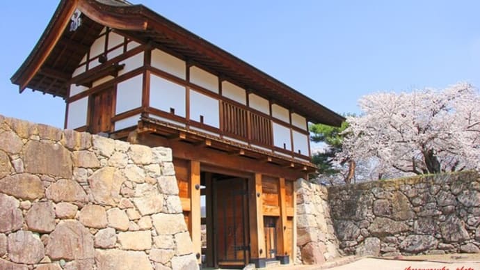 信州・松代城址の「桜」も見ごろに(前編)・・・・・!