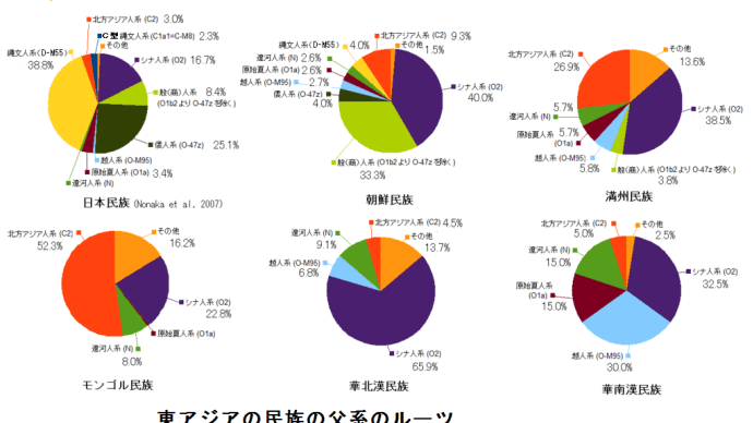 え？渡来系弥生人のルーツが南遼河人？(@_@)