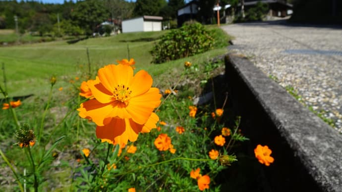 中山道ウォーク(南木曽駅~妻籠~馬籠~中津川駅) 2023.10.11