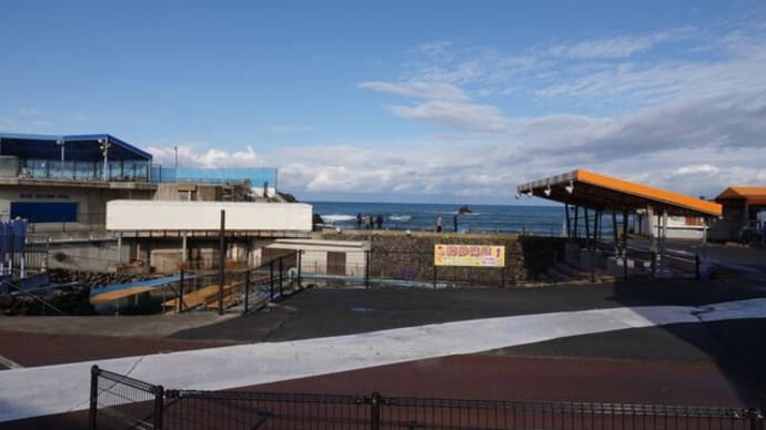 20221231 越前松島水族館