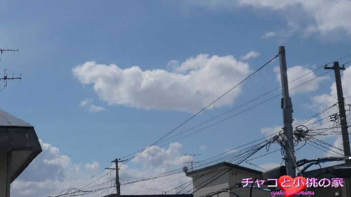 今日の様子