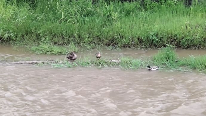 おつかれさま