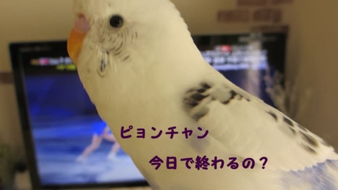 感動をありがとう~