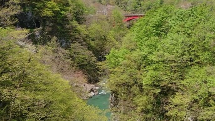 新緑スポットを訪ねて~月山ダムと梵字川渓谷~