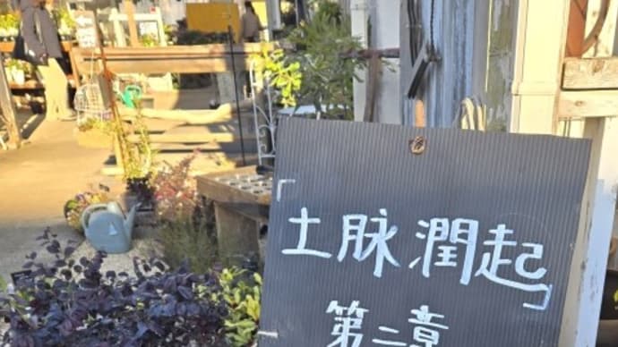 ボタニカルなミニ展示会へ