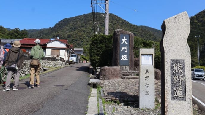 初めての熊野詣④~熊野那智大社・那智の大滝~