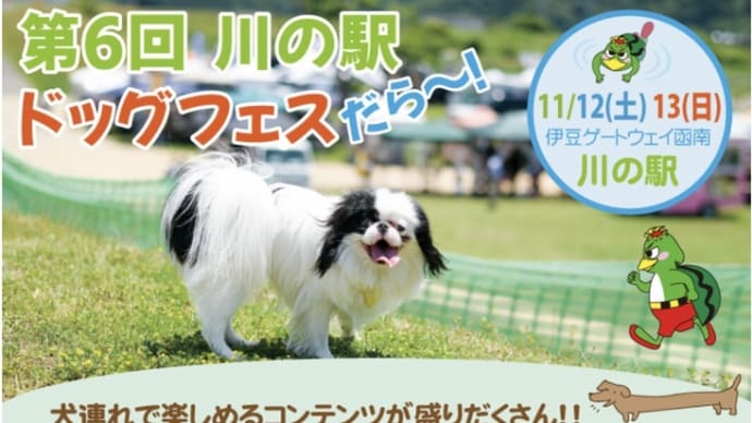 11月13日 出店のお知らせ
