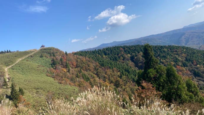 高清水トレイル ブナ林紅葉