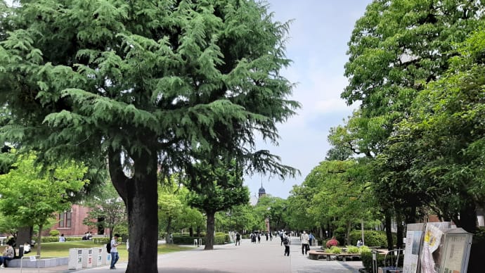 京都・一人歩き 2