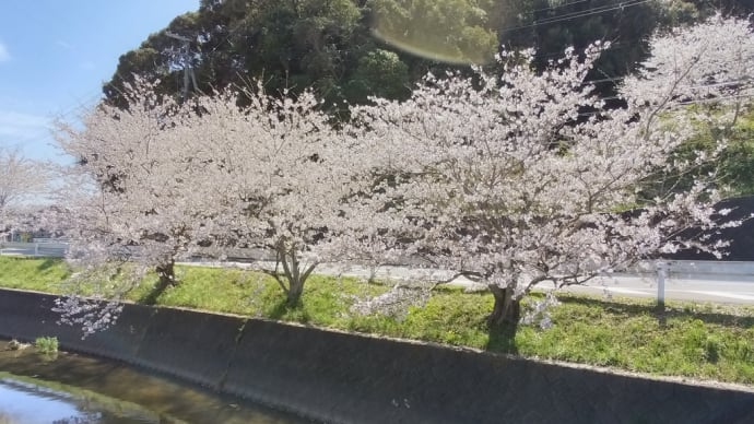 NPO法人北吉田蓮の郷
