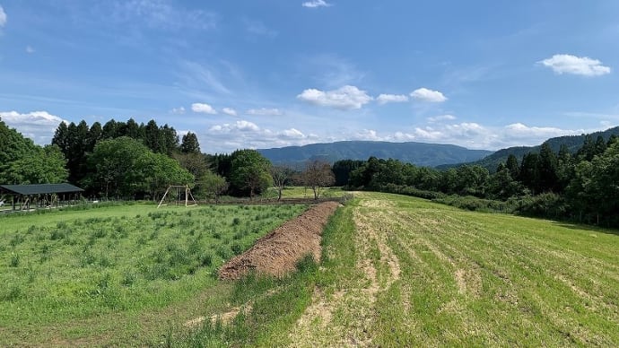 キャンプ場開拓への道 (/・ω・)/ 18