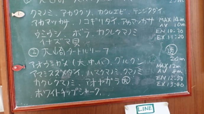 本日のダイビングログ