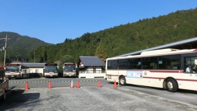 大原秋景色1 大原の蓮成院へ