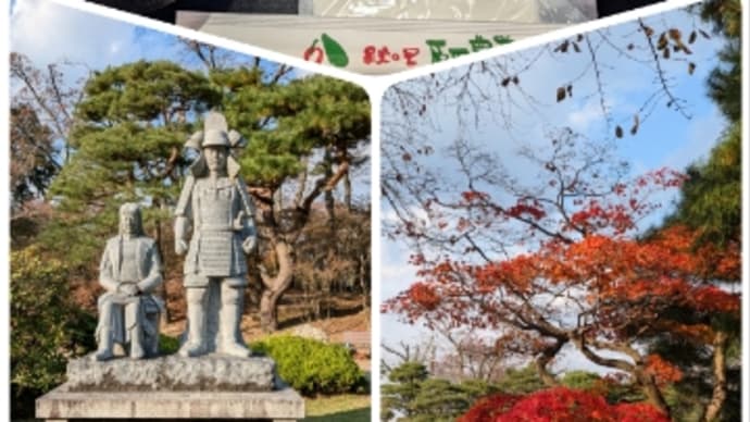 今日いち-2024年11月12日