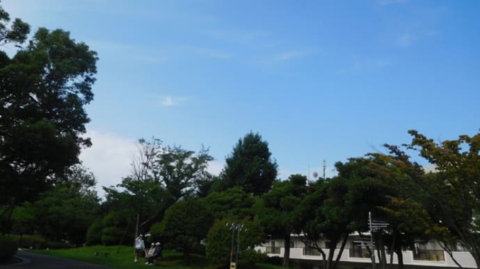 晴れた!青空!日曜日の広々公園