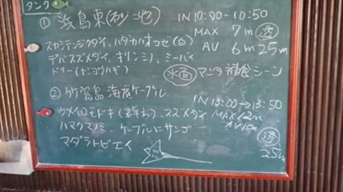 本日のダイビングログ