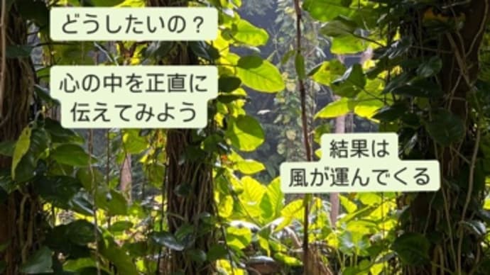 〜マヤ暦 K42 白い風・黄色い太陽・音3〜 沖縄のお盆の最終日、ご先祖様に感謝