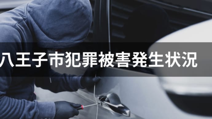 【八王子市内の犯罪被害状況】