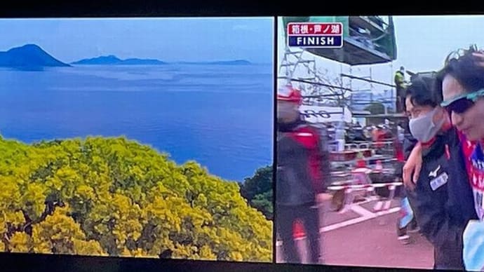 テレビ番組