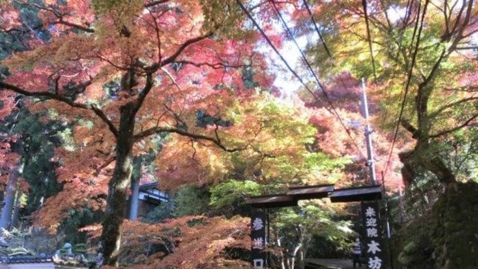 大原秋景色2 大原の来迎院へ