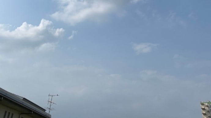 話題になっている低糖質ダイエットについて