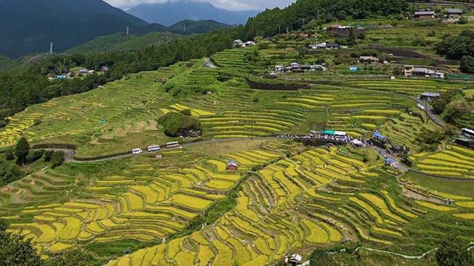 2022.9.11　丸山千枚田（熊野市紀和町）