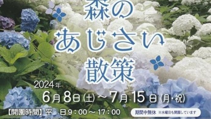 森林植物園・森のあじさい散策1・・・北苗畑