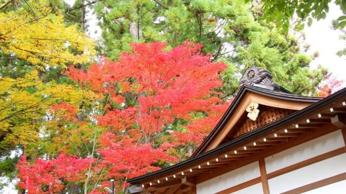 タイトルを「昌禅寺の紅葉!」としたら ・・・・・!