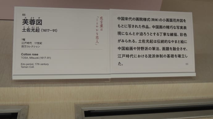 土佐光起（1617－91） 「66 芙蓉図 」　　大阪市立美術館『特別展　　華風到来ーチャイニーズアートセレクション』から
