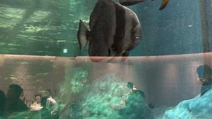 いわき温泉