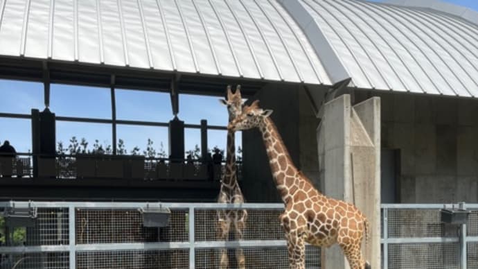 動物園デビュー!