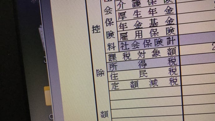 定額減税、あれこれ!