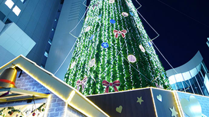 クリスマスイブイブ 12月23日(木)晴れ