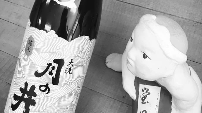 花見だ! 酒だ!・・「月の井 純米酒」