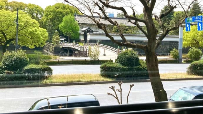ランステ&皇居ラン&青海珈琲&神保町カレー
