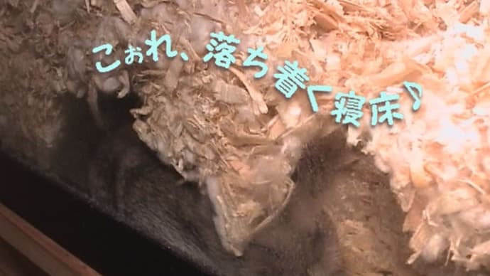 「情報を深堀り」って?