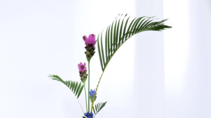 ピンクのハスに似たクルクマ・アレカヤシの面に合わせて・・生花・新風体