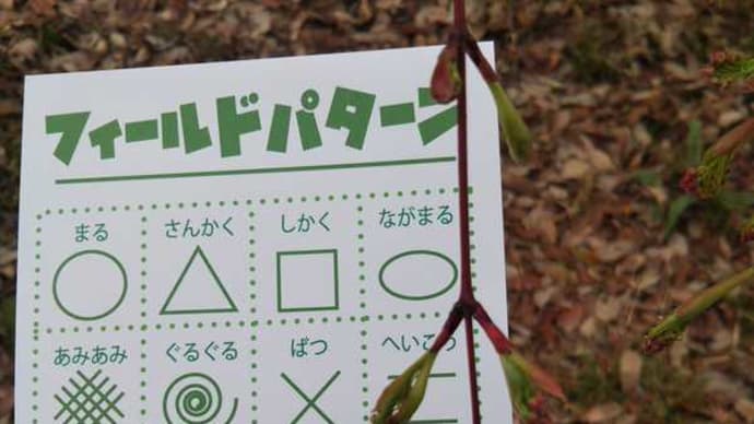 【報告】3月29日　ネイチャーゲーム自主研修　佐鳴湖公園