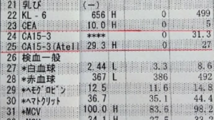 2023年04月13日 血液検査結果