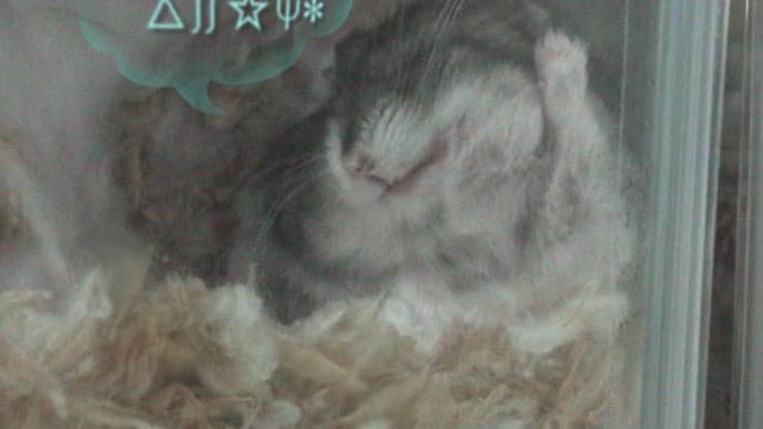 「お会いしたことは?」って?