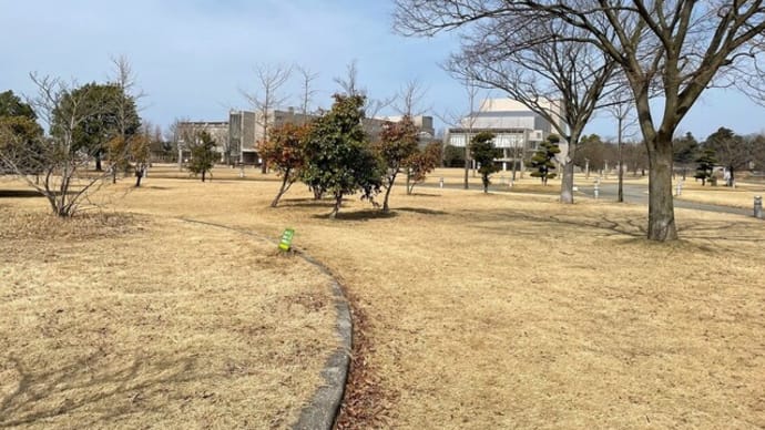 芝生を心待ちに🍃