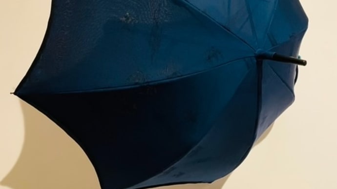 「絽の着物2着で作る日傘」