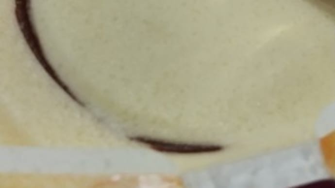 【感動】ロッテアイス『爽 生チョコinバニラ』新作食べてみた!新食感でリピ決定