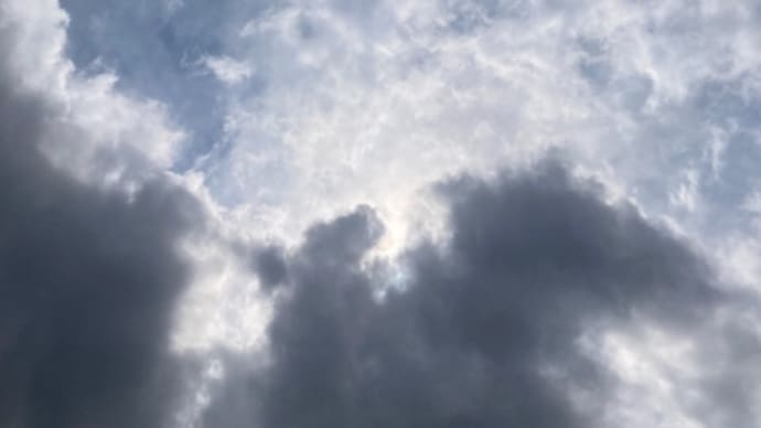 種を蒔こう
