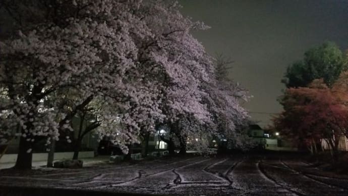 インスリンと発情との関係は