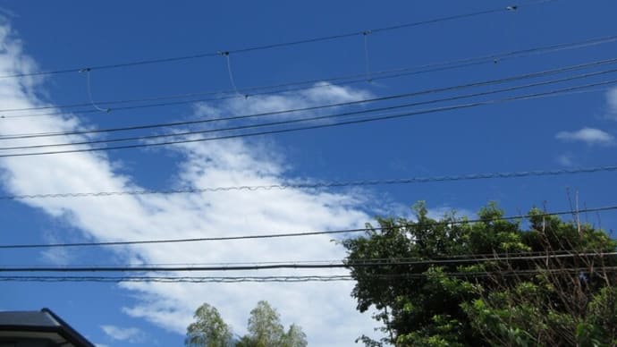 せめて秋空を