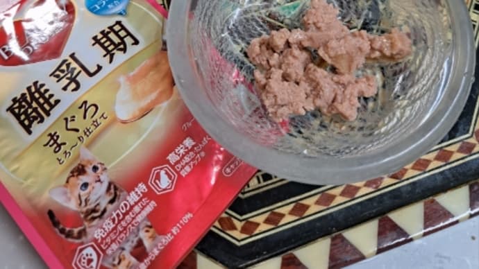 離乳食にチャレンジ、お食い初めや!