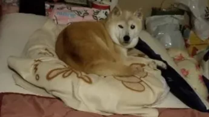 クリンへの想いは尽きなくて・・・110