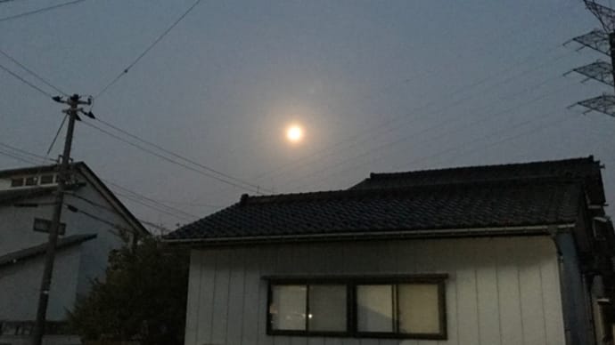月光と日光